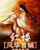 《红楼：风华首辅》TXT下载（完结）作者：烟柳画桥