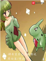 Screenshot 2025-05-03 at 04-23-13 神奇宝贝之天狂传说 - Google 搜索.png