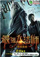Screenshot 2025-06-27 at 08-02-20 哈利波特之最强大法师 - Google 搜索.png